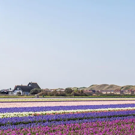 De Dars Ferienhaus Callantsoog